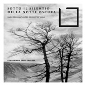 Sotto Il Silentio Della Notte Oscura (Music from Naples for Consort of Viols) artwork