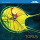 HOWARD/TORUS cover art