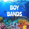 ROSE BEAT - Boy Bands Pop (Remix)
