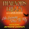 Like Learning How to Fly (feat. David Nathan & Jermaine Lockhart) - Single album lyrics, reviews, download