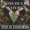 Sons de la Nature Pour Dormir album lyrics, reviews, download