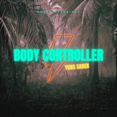 Body Controller artwork