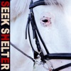 Seek Shelter (Special Edition) artwork