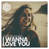 I Wanna Love You - Single