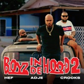 Boyz In De Hood 2 artwork