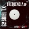 Frequencia - Gabriel TX lyrics