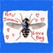 Love Bug - Peter Johnstone lyrics