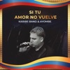 Si Tu Amor No Vuelve - Single