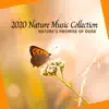 Nature's Promise of Dusk- 2020 Nature Music Collection album lyrics, reviews, download