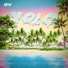 YOLO - Single