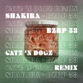 Shakira - Bzrp 53 (Catz 'N Dogz Remix) artwork