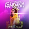 Wani Kayrie - Jangan Terlepas Pandang