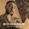 Imi Fac Rau Cu Mana Mea - Single