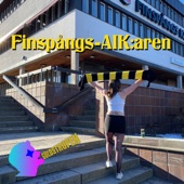 Finspångs-AIK:aren artwork