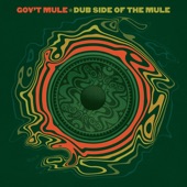 Gov't Mule - Turn on Your Love Light (feat. Toots Hibbert)