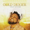 Gold Digger - Single