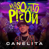 Mosquito Picón - Canelita