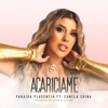 Acariciame (feat. Canela China) - Single
