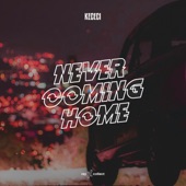 Never Coming Home artwork