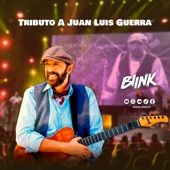 Tributo a Juan Luis Guerra artwork