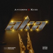 Aka (feat. Kcee) artwork