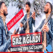 Ağlayan Saz artwork