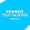 Perreo Tego Calderon - Single