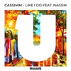 Like I Do (feat. NaGem) - Single