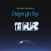 DAYS GO BY (feat. Toro y Moi) artwork