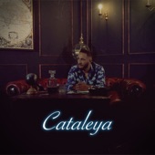 Cataleya artwork