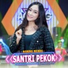 Santri Pekok - Single