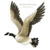 Wild Goose - Single
