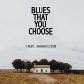 Steve Shanholtzer - Searchin'