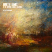 Martin Hayes - Toss The Feathers/The Magerabaun Reel