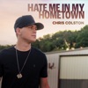 Hate Me in My Hometown - Single