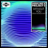 Without You (Drum & Bass Mix) artwork