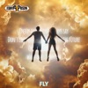 Fly - Single