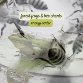 Forest Frogs & Bee Chants artwork