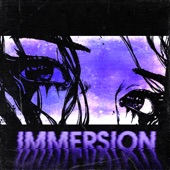 Immersion artwork