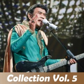 Collection, Vol. 5 artwork