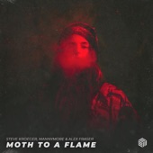 Moth To a Flame artwork