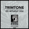 Do Without You - Single