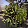 I'm High - Single