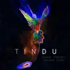 Tindu (Minuk Rework) - Single album lyrics, reviews, download