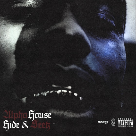 Cover artwork for Hide & Seek