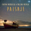 Paisaje - Single