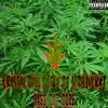 Pass Dat Dope (feat. Crystal Ball Ant) song lyrics