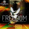 Freedom (Steevie Milliner Afro Madiba Remix) - Single