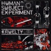 Human Subject Experiment - Single