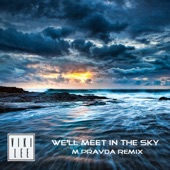 Viki Lee - We Will Meet in the Sky - M.Pravda Progressive Remix